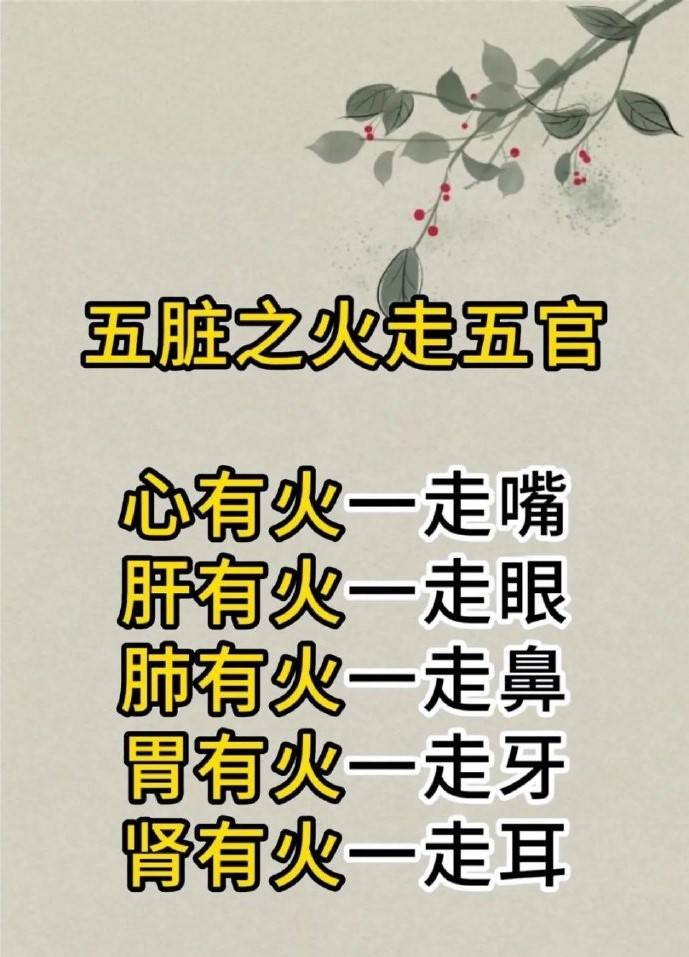 五行属火人