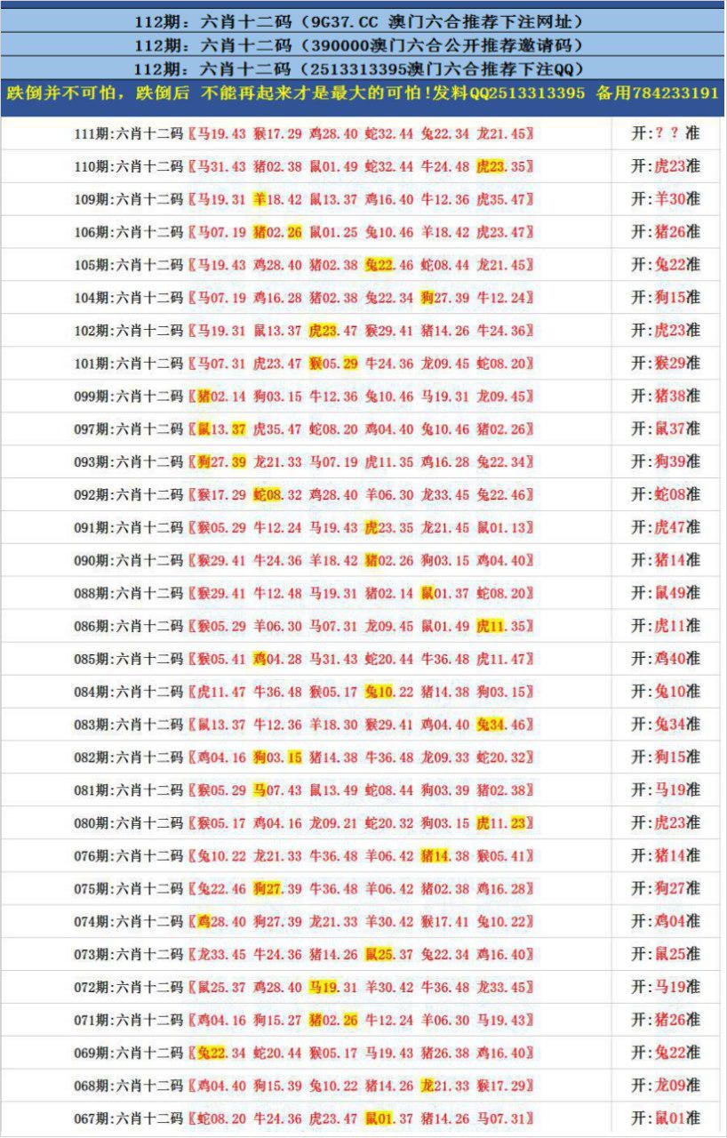 澳门12码精准100%