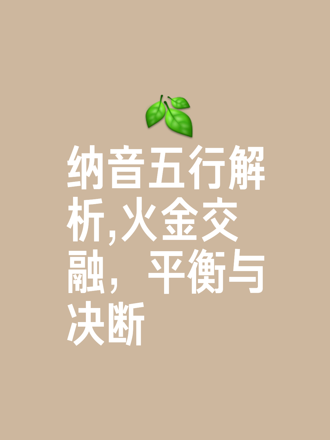 纳音五行什么意思