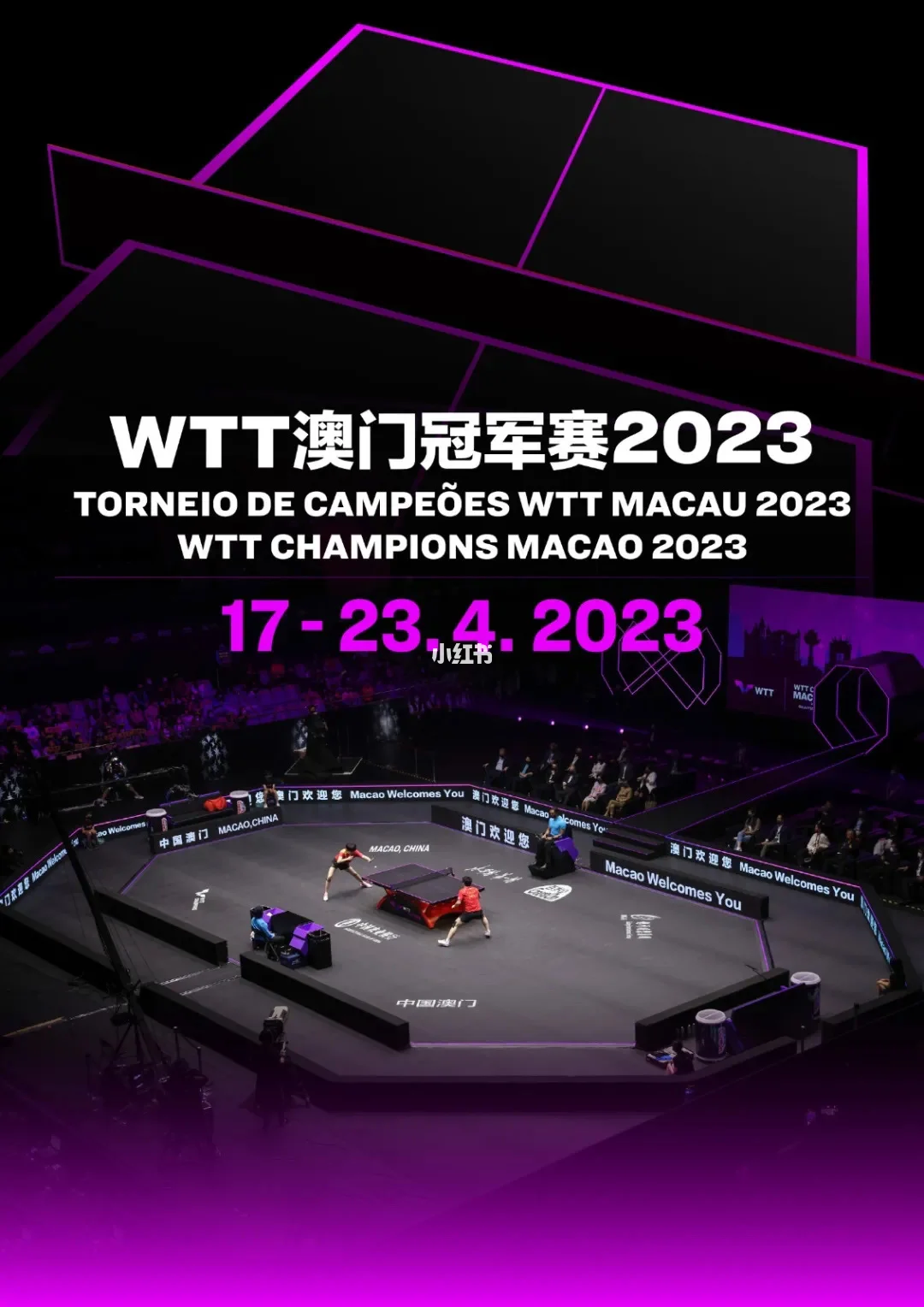 2024wtt澳门