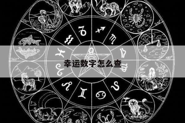 幸运数字怎么查