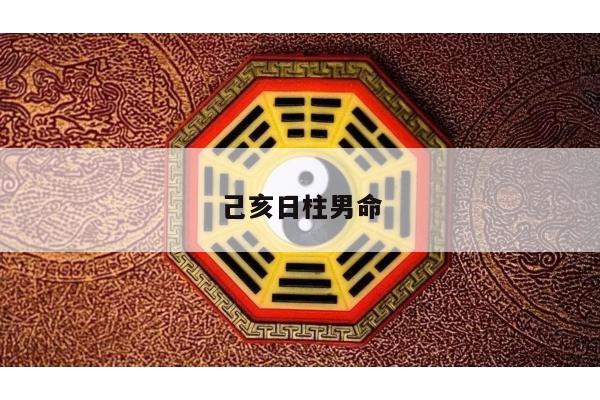 己亥日柱男命
