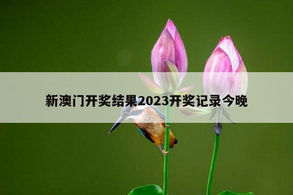 新澳门开奖结果2023开奖记录今晚