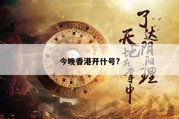 今晚香港开什号?