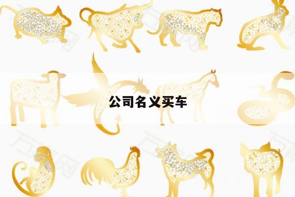 公司名义买车