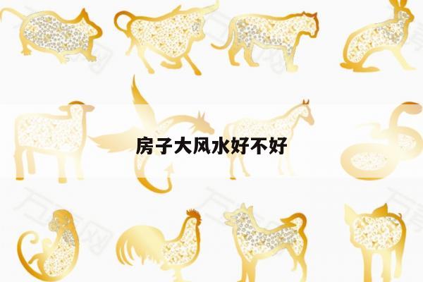 房子大风水好不好