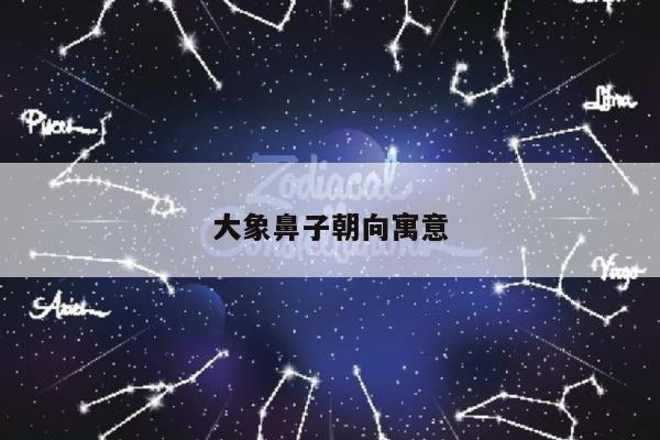 大象鼻子朝向寓意