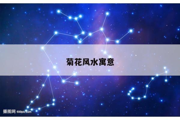 菊花风水寓意