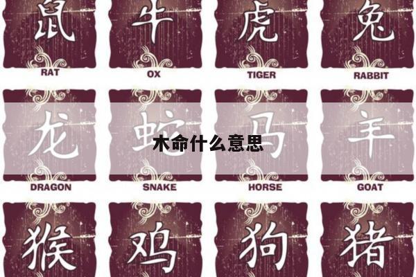木命什么意思