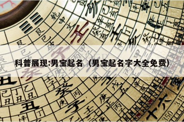 科普展现:男宝起名（男宝起名字大全免费）