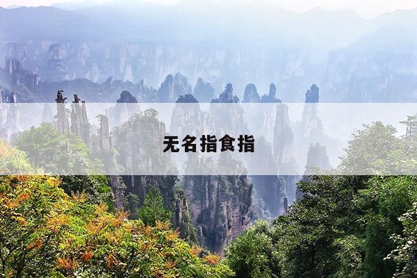 无名指食指