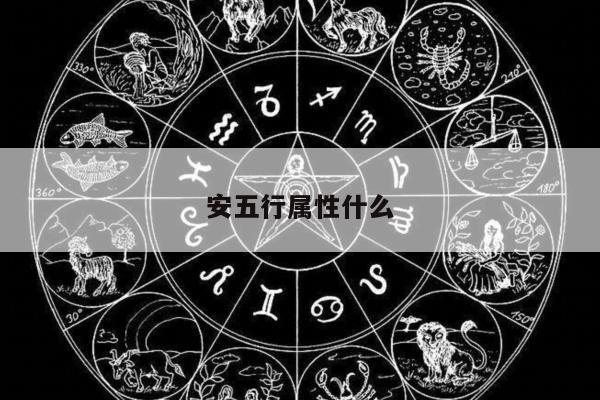 安五行属性什么