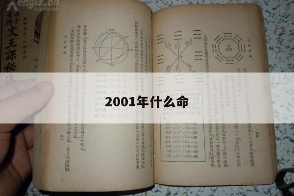 2001年什么命