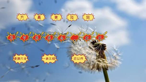 平特一肖公式,平特一肖公式具体破解