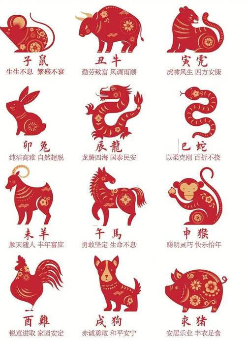 香港十二生肖开奖网站大全,香港十二生肖开奖网站大全最新
