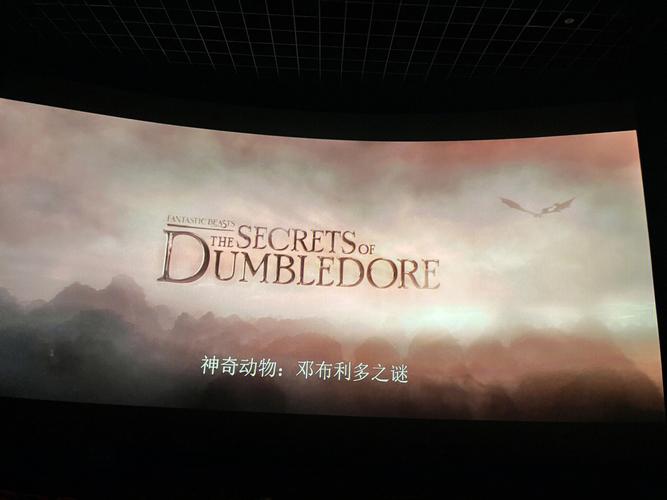 神奇动物在哪里,神奇动物在哪里3邓布利多之谜