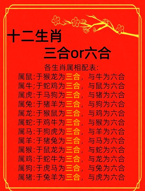 期期期准公开一肖中特的功能介绍,期期准一句话中特两肖