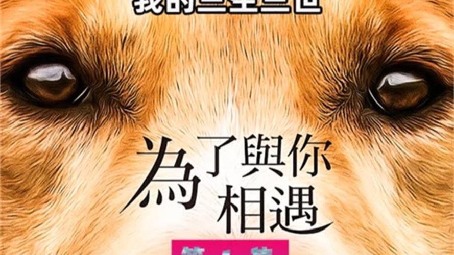 来到这个世上,狗狗死后多久可以投胎重新来到这个世上