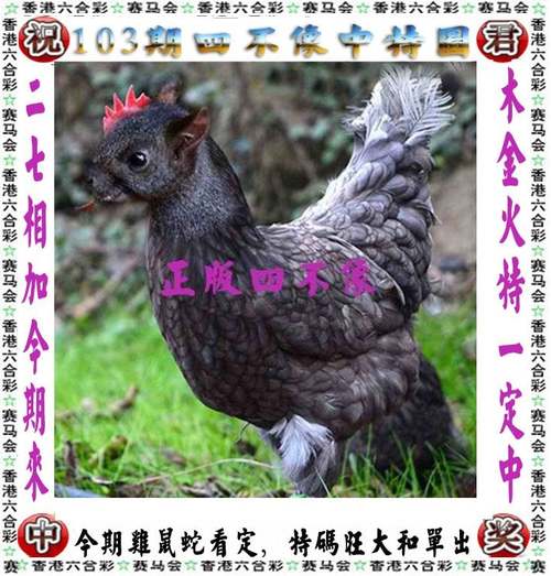 20234澳门一肖一码精准,